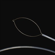 Net Type Kunze Kwekunze Kwemuviri